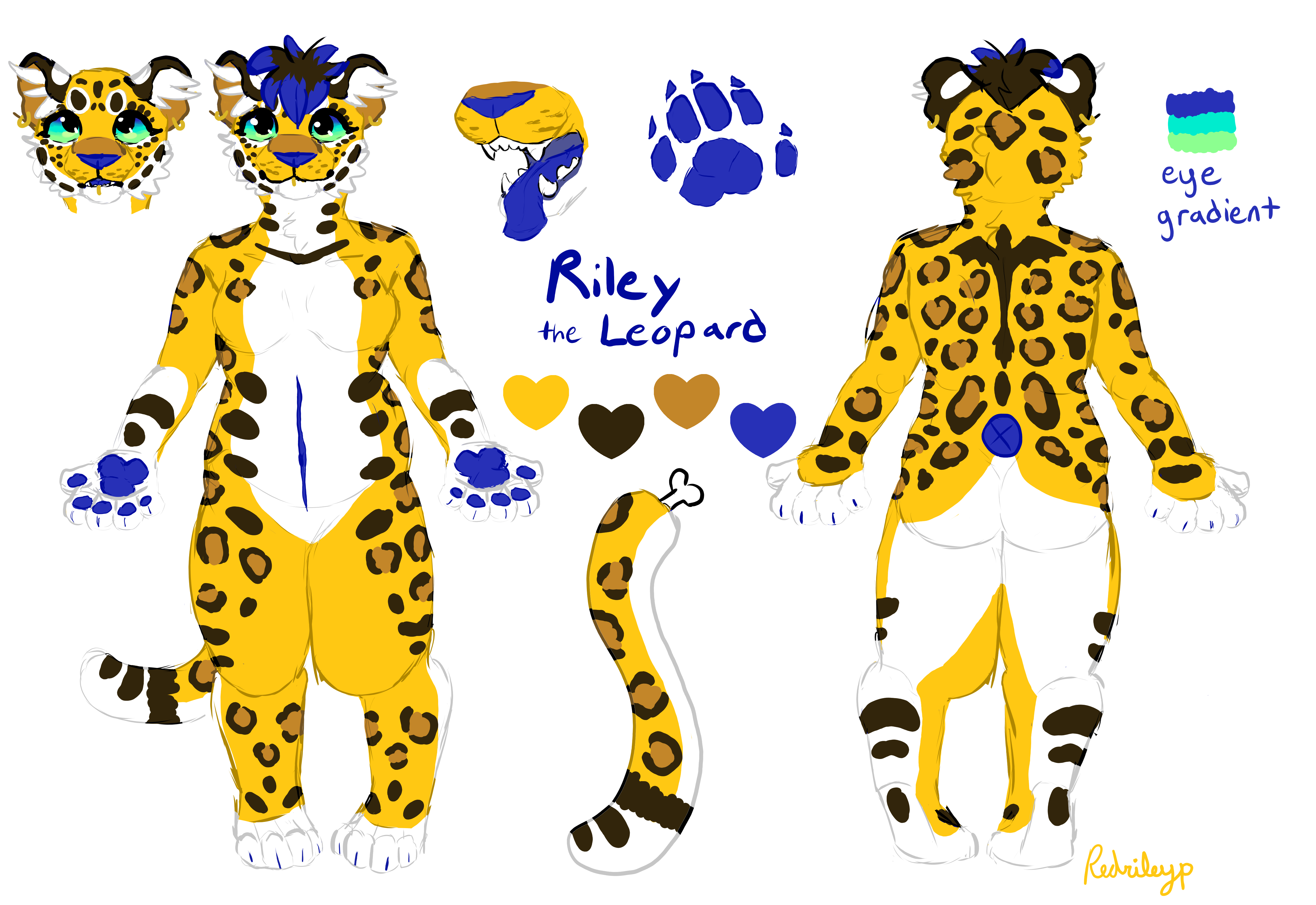 Riley the Leopard Reference Sheet
