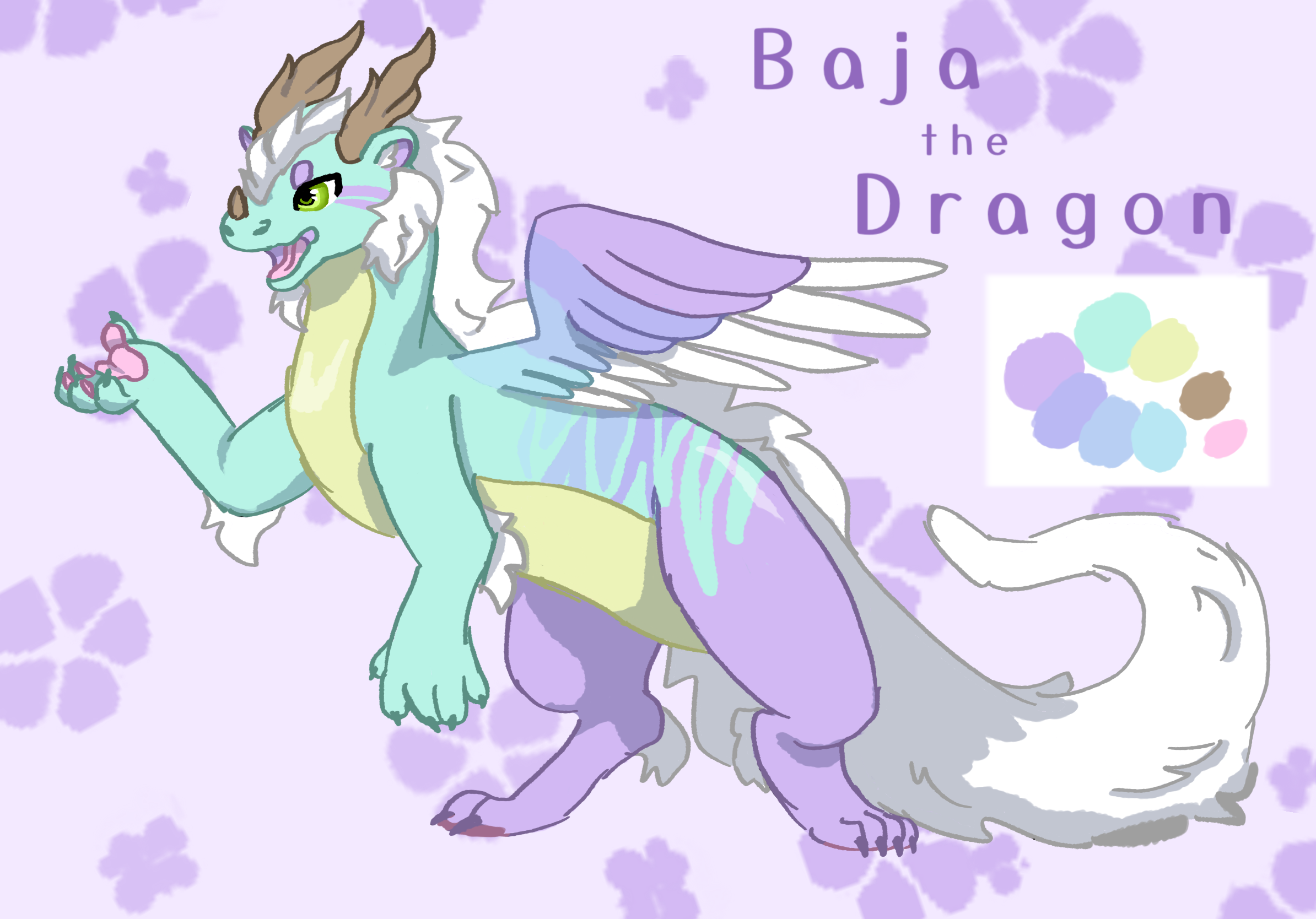 Baja Blast half-ref sheet